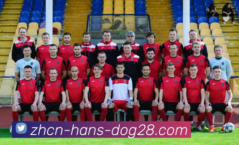 狗子28平台生态图