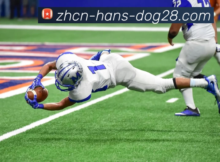 狗子28APP 封面图